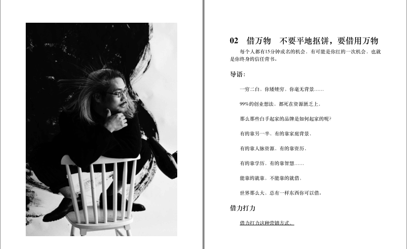 图片[3]-《借势》和《主角》金枪大叔出版的书 营销鬼才[pdf]-影音屋