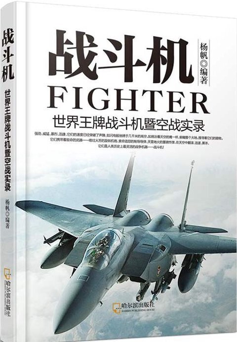 《战斗机：世界王牌战斗机暨空战实录》战斗机的故事[pdf]-影音屋