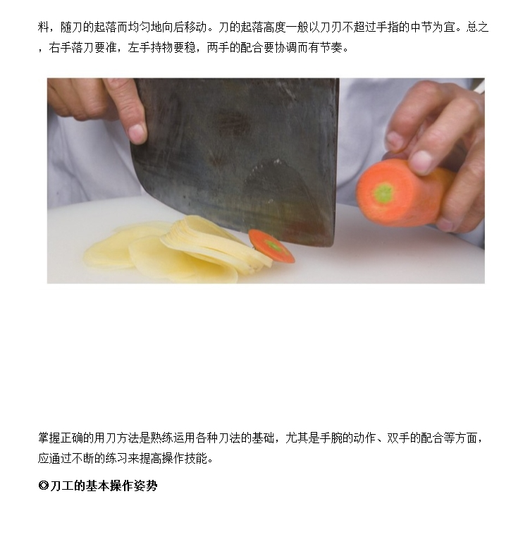 图片[2]-《大厨不传的烹调技法》烹饪全图解系列 刀工技法 凉菜热菜烹饪技法[epub]-影音屋