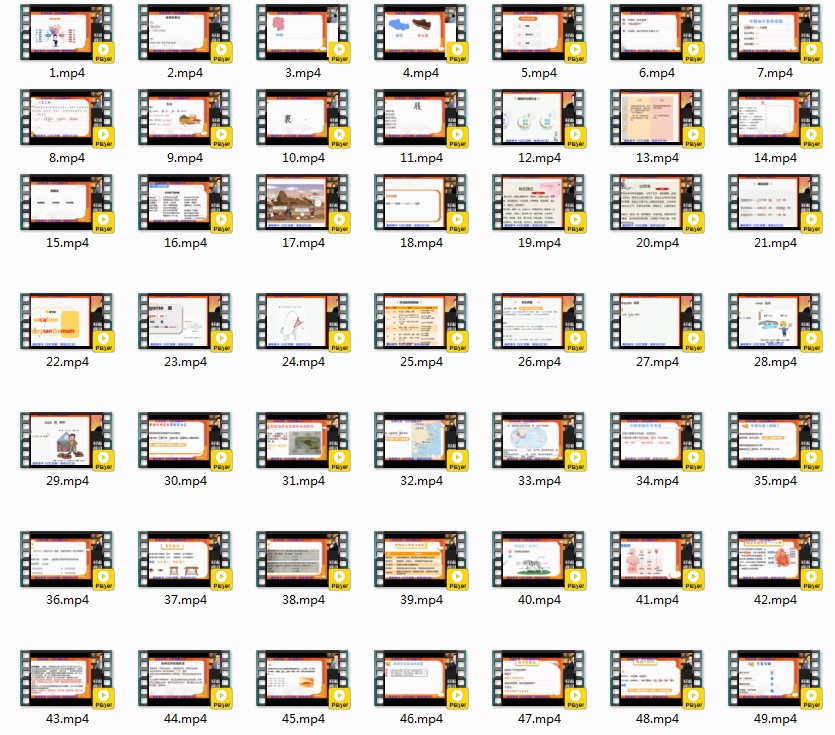 《最强大脑 王峰 记忆课程》60课 记忆力提升高效学习课[mp4]-影音屋