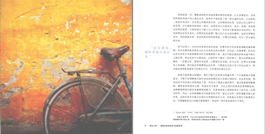图片[2]-《视觉之旅 摄影的视角培养与构图思想》摄影爱好者必备[pdf]-影音屋