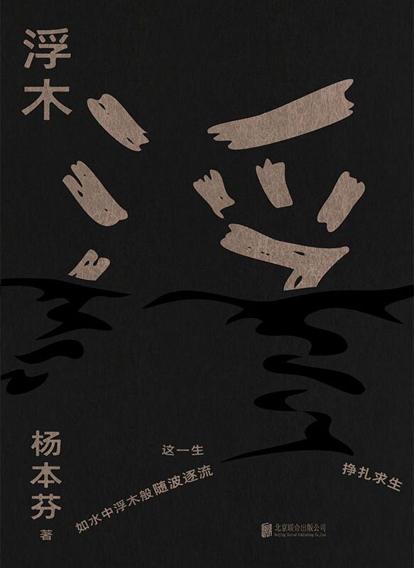浮木 底层乡间人物对苦难的承受与抵抗[MOBI/AZW3/EPUB]-影音屋