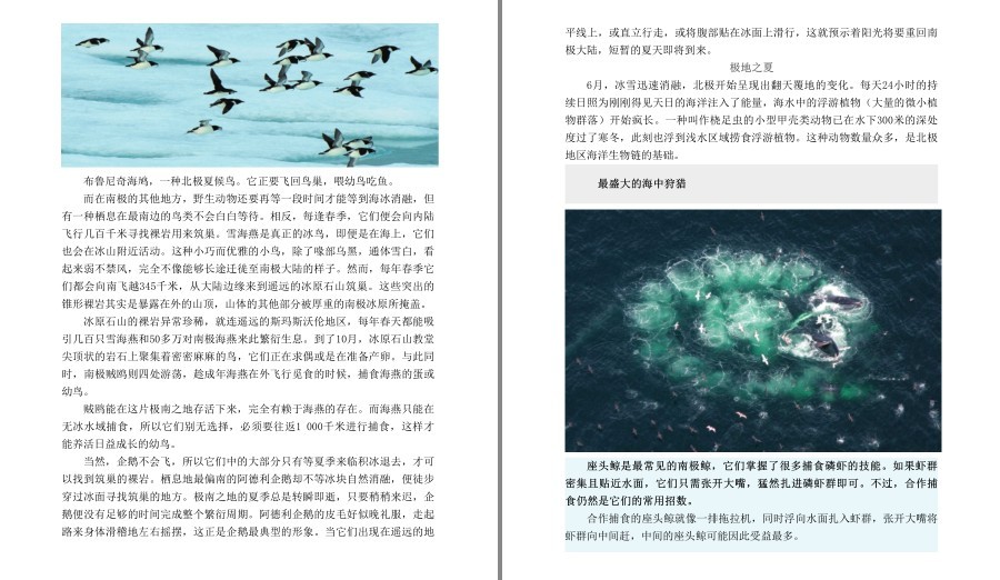 图片[7]-《BBC自然探索系列》套装共7册 一次对地球极不可思议的探索[pdf]-影音屋