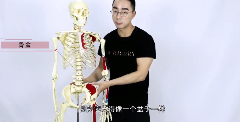 图片[7]-《男性持久力强化》你好 家才好 健康快乐人生[mp4]-影音屋