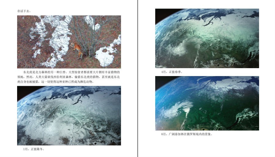 图片[9]-《BBC自然探索系列》套装共7册 一次对地球极不可思议的探索[pdf]-影音屋