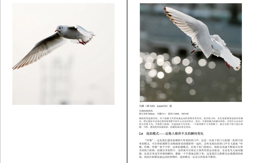 图片[10]-《蜂鸟摄影学院单反摄影宝典》学摄影[pdf]-影音屋