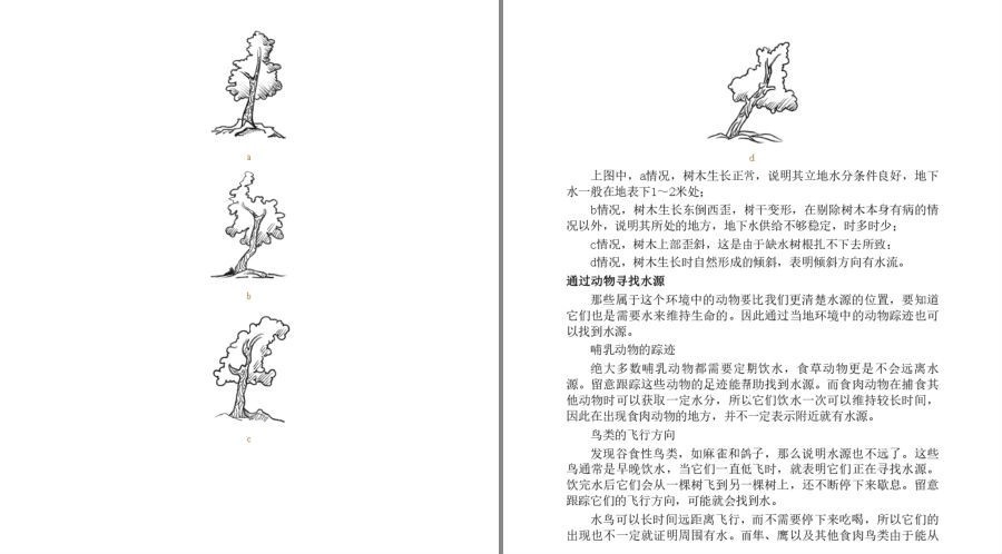 图片[13]-《野外生存·自助游全攻略》一本备受驴友追棒的野外自助游及探险宝典[pdf]-影音屋