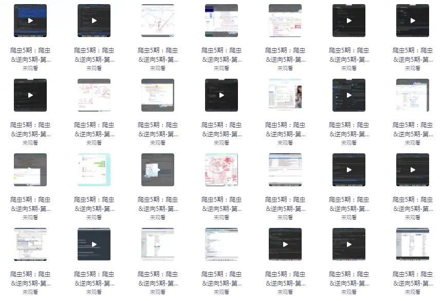 图片[5]-《爬虫开发+APP逆向超级大神班》05期[mp4]-影音屋