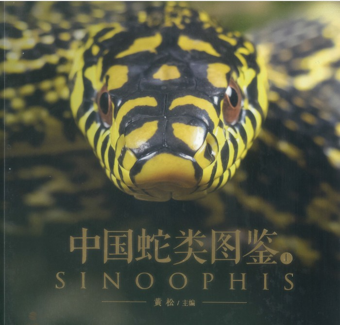 《中国蛇类图鉴上下册》[PDF][2.1G]-影音屋