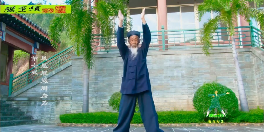 《张至顺道爷亲传八部金刚功》高清版 长寿功法 跟着视频学锻炼身体 稀缺资源[mp4]-影音屋