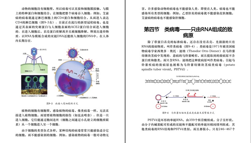 图片[7]-《生命简史：从尘埃到智人》科普读物[pdf]-影音屋