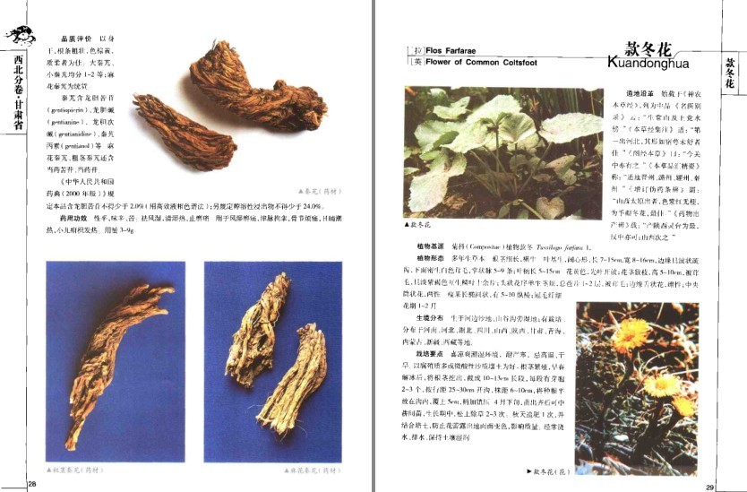 图片[4]-《道地药材图典·三北卷 》药材在全国各地分布及其药用功效[pdf]-影音屋