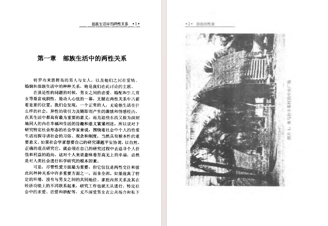 图片[5]-《原始的性爱》 (上下册)[pdf]-影音屋