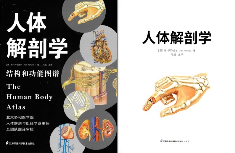 《人体解剖学》结构和功能图谱 科普[pdf]-影音屋