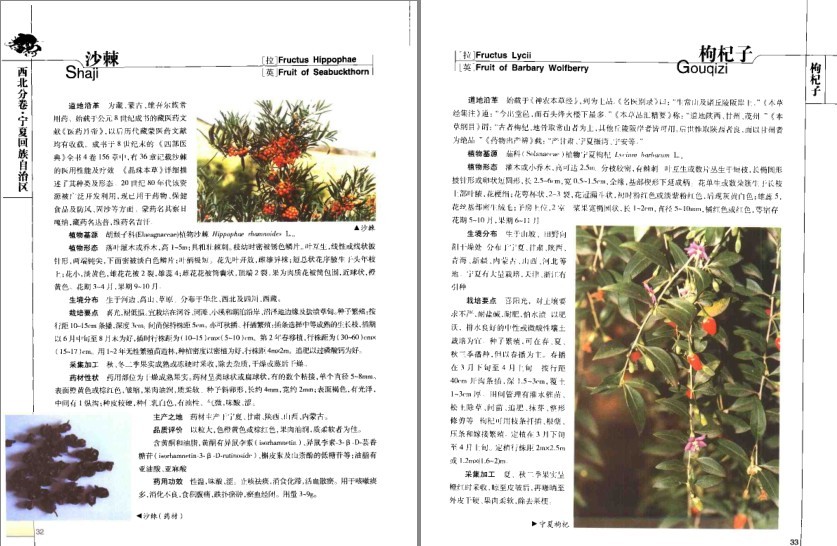 图片[5]-《道地药材图典·三北卷 》药材在全国各地分布及其药用功效[pdf]-影音屋