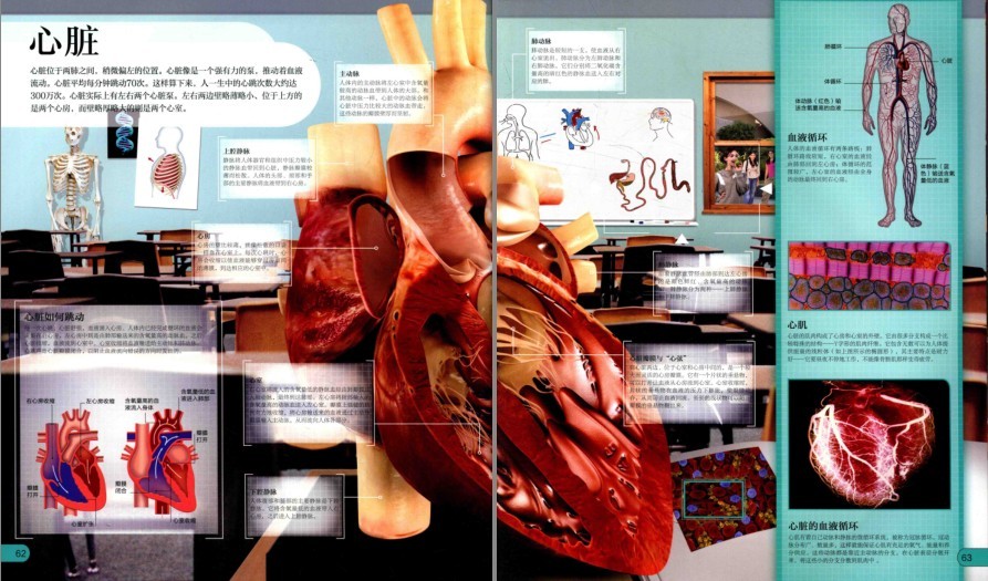 图片[10]-《DK微观世界大百科》以微观视角总览世间万物[pdf]-影音屋