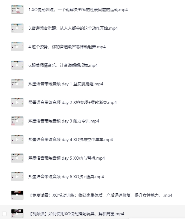 熙墨实验室:XO初级训练自学课[MP4]-影音屋