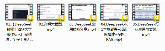 《DeepSeek教程》300万播放量 清华大学带你从入门到精通 少走99%的弯路[mp4]-影音屋