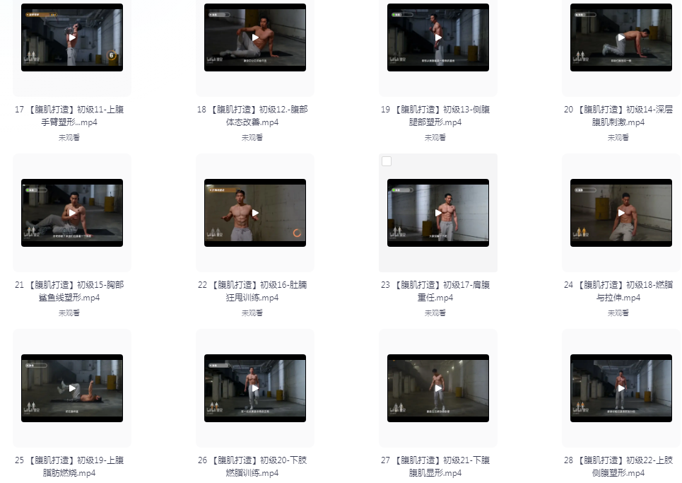 图片[2]-《男性腹肌打造瘦肚子全方案》视频教程 B站-闫帅奇[mp4]-影音屋