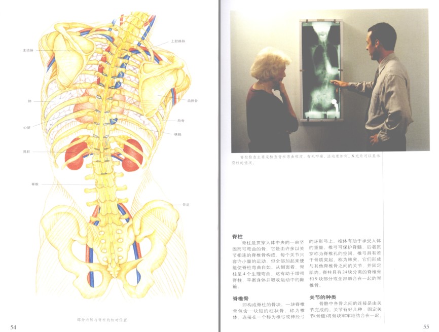 图片[10]-《彩图版人体疾病自查600例》患者自查病症 优秀的医学科普巨著[pdf]-影音屋