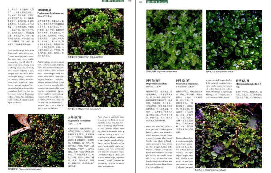 图片[4]-《中国高等植物彩色图鉴 第1卷 苔藓植物》植物科普读物[pdf]-影音屋