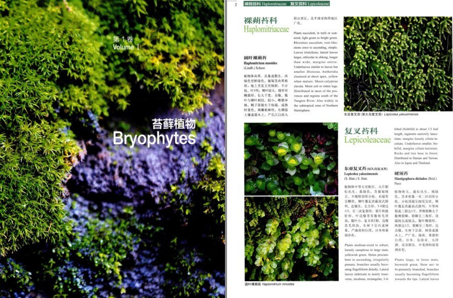 图片[3]-《中国高等植物彩色图鉴 第1卷 苔藓植物》植物科普读物[pdf]-影音屋
