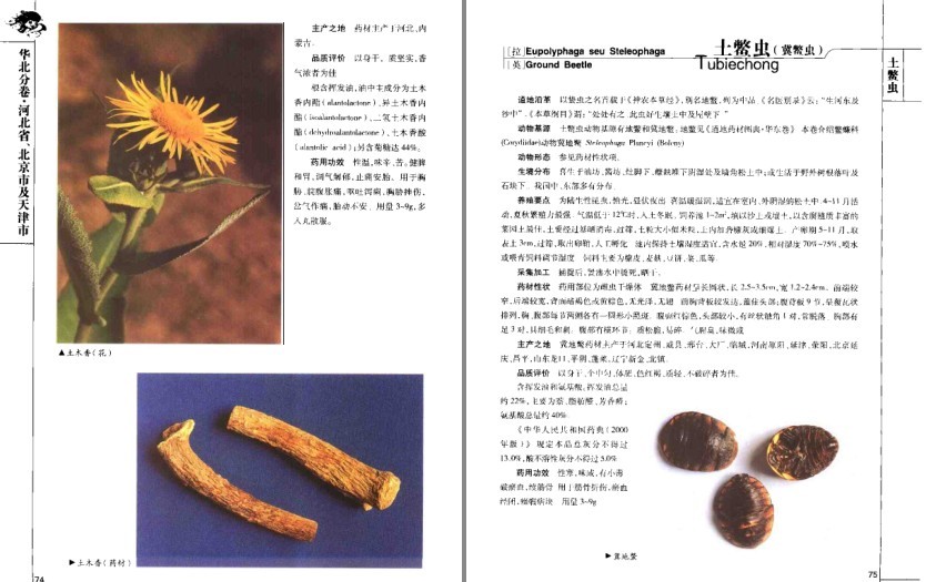 图片[10]-《道地药材图典·三北卷 》药材在全国各地分布及其药用功效[pdf]-影音屋