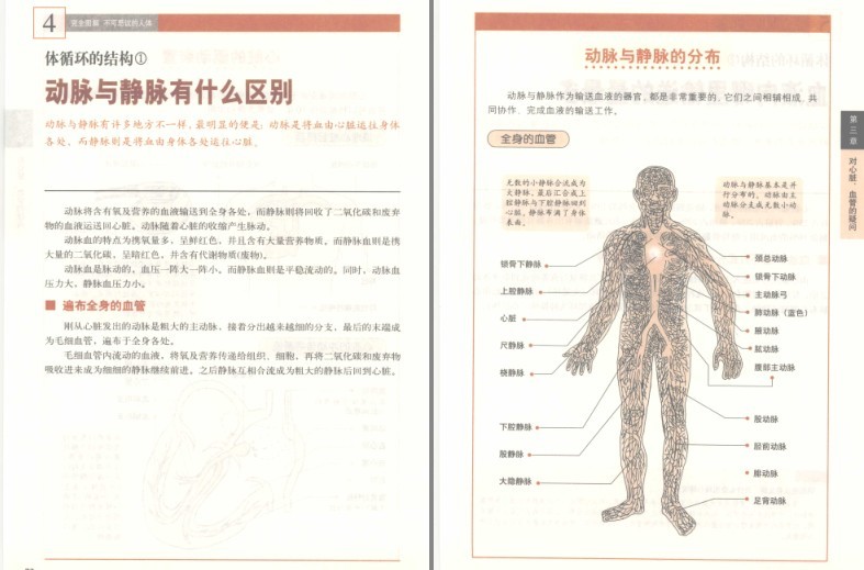 图片[9]-《完全图解不可思议的人体:深度解读人体密码》了解你自己的身体[pdf]-影音屋