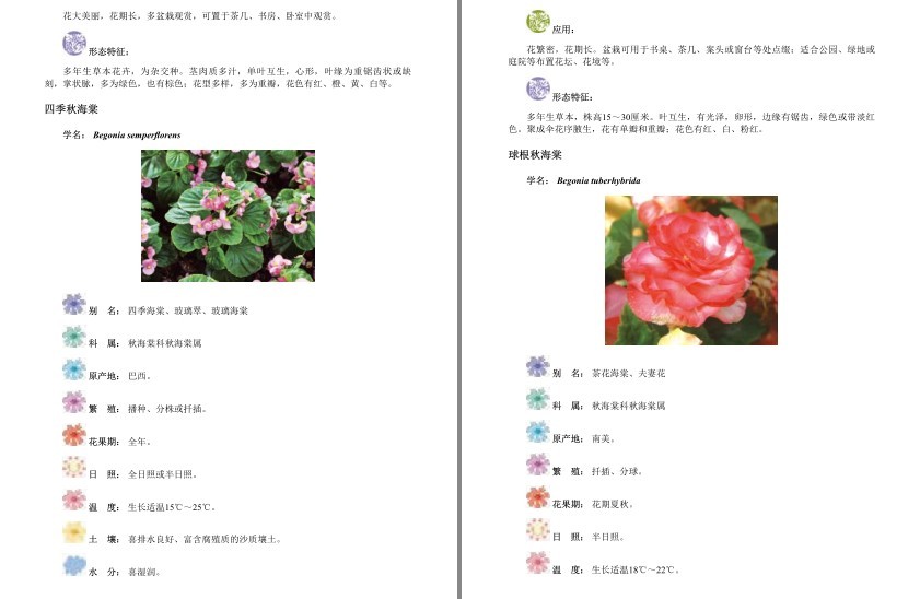 图片[4]-《经典观赏花卉图鉴:1200种花卉品鉴金典》科普各种花卉[epub]-影音屋