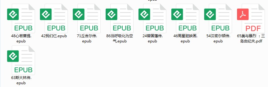 图片[3]-《100部人物传记合集 让我们站在巨人的肩膀上》[pdf]-影音屋