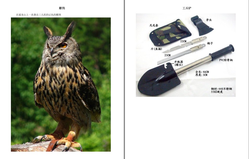 图片[4]-《鬼吹灯插图版》天下霸唱 盗墓者的诡异经历[mobi]-影音屋