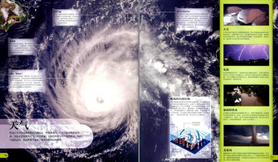 图片[12]-《DK微观世界大百科》以微观视角总览世间万物[pdf]-影音屋
