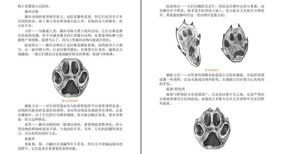 图片[11]-《野外生存·自助游全攻略》一本备受驴友追棒的野外自助游及探险宝典[pdf]-影音屋