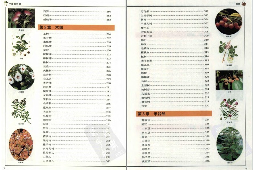 图片[3]-《中国的野菜：319种中国野菜图鉴》中国常见野菜图谱[pdf]-影音屋