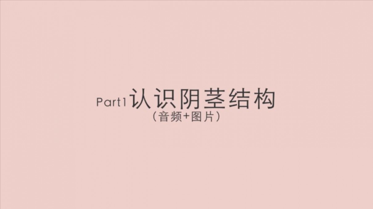 图片[2]-《罗南希：女生如何开好大飞机》[MP4246M]-影音屋