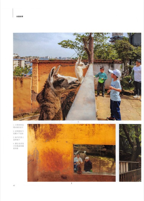 图片[7]-《三联生活周刊》2024年10-22期 当代新闻文化周刊类读物的领军杂志[pdf]-影音屋