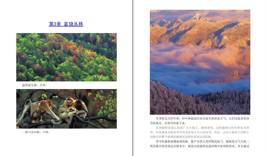 图片[8]-《BBC自然探索系列》套装共7册 一次对地球极不可思议的探索[pdf]-影音屋