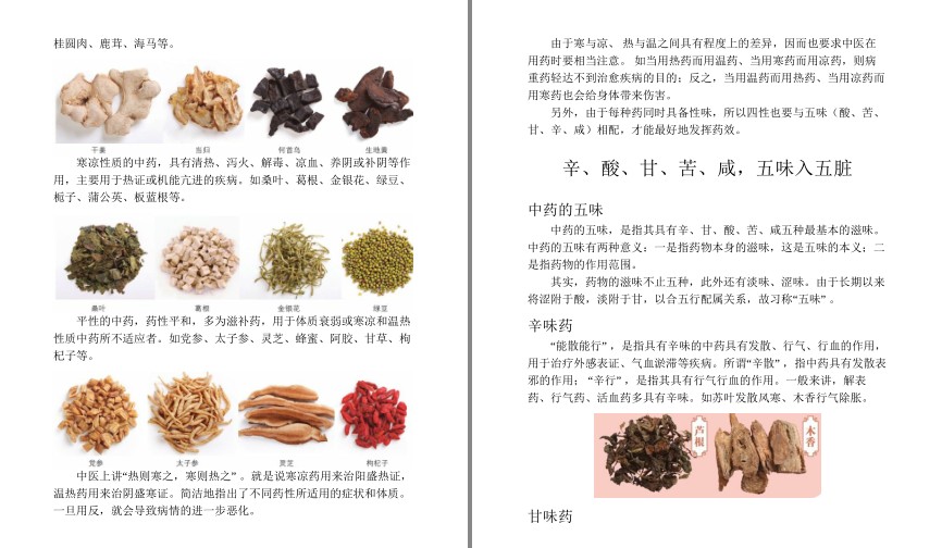 图片[5]-《本草纲目 中药养生速查全书》《本草纲目 对症食疗速查全书》食疗养生[pdf]-影音屋