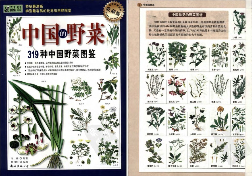 《中国的野菜：319种中国野菜图鉴》中国常见野菜图谱[pdf]-影音屋