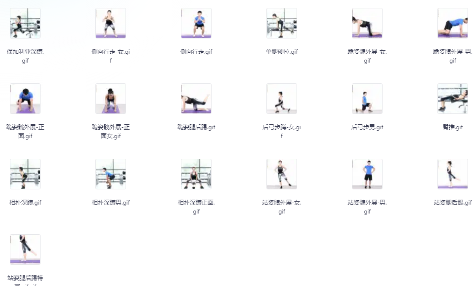 《赛普健身专业视频》超干货专业系统健身知识 价值19800元[mp4]-影音屋