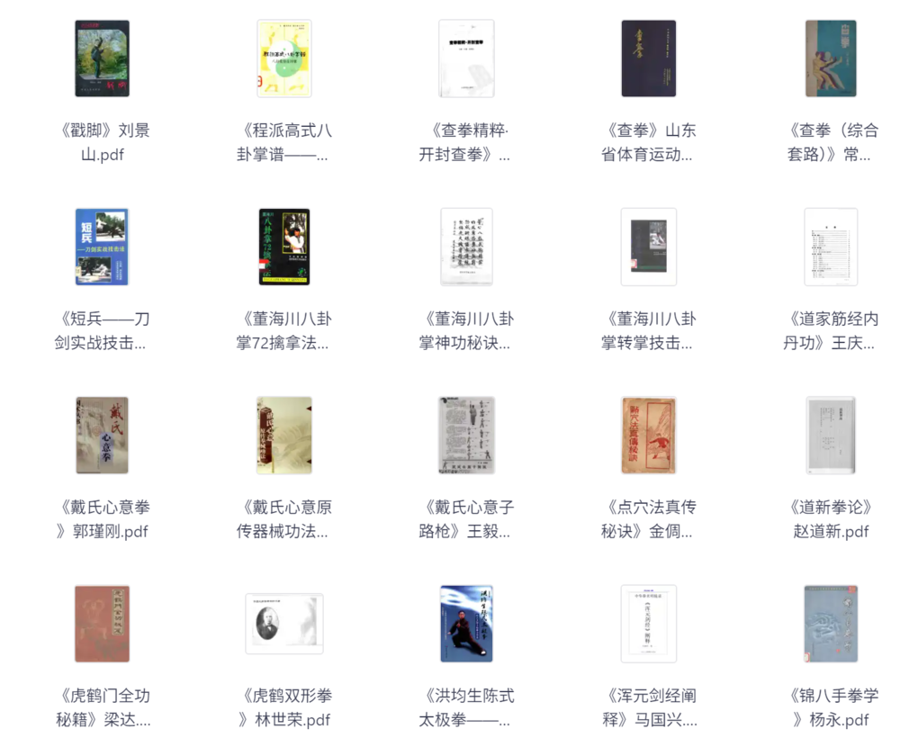 《武术类书籍合集全》[PDF][31.4G]-影音屋