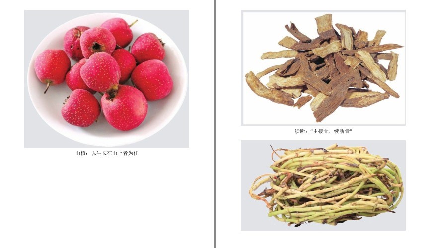 图片[5]-《小中药 大养生》家中有本草 健康无烦恼[pdf]-影音屋