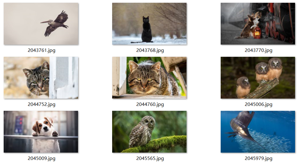 每日壁纸 11.10 NO.2[30P / 641]-影音屋