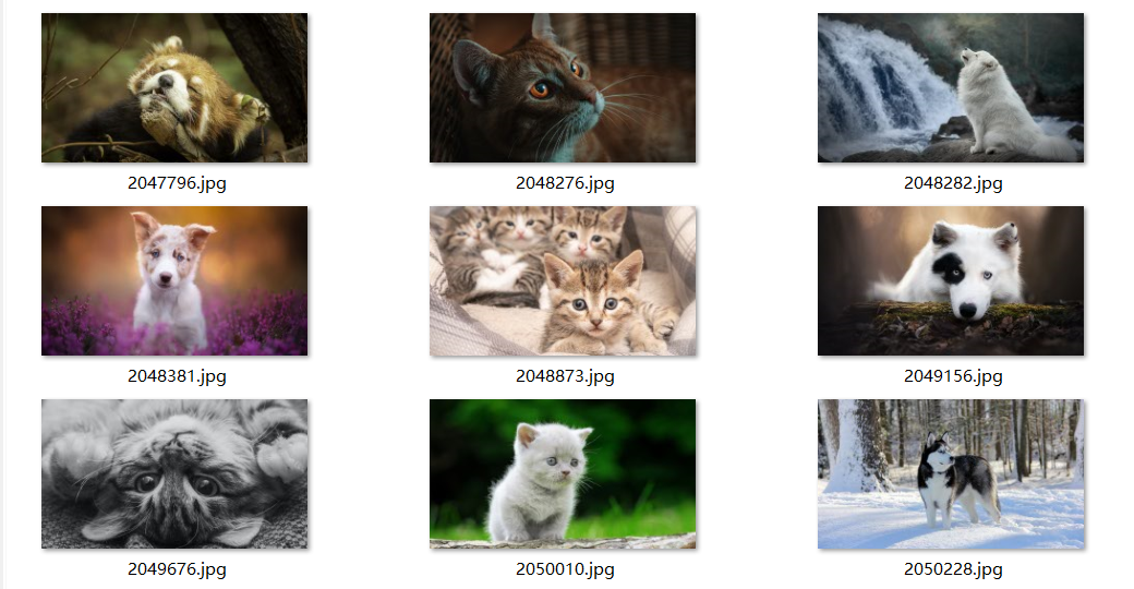 图片[2]-每日壁纸 11.10 NO.3[30P / 641M]-影音屋