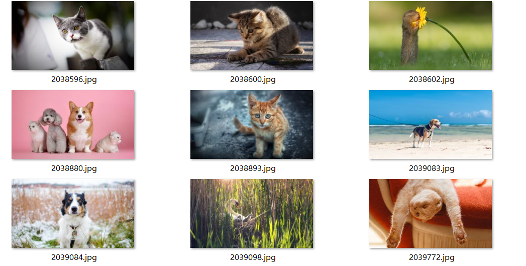 每日壁纸 11.10 NO.1[30P / 641M]-影音屋