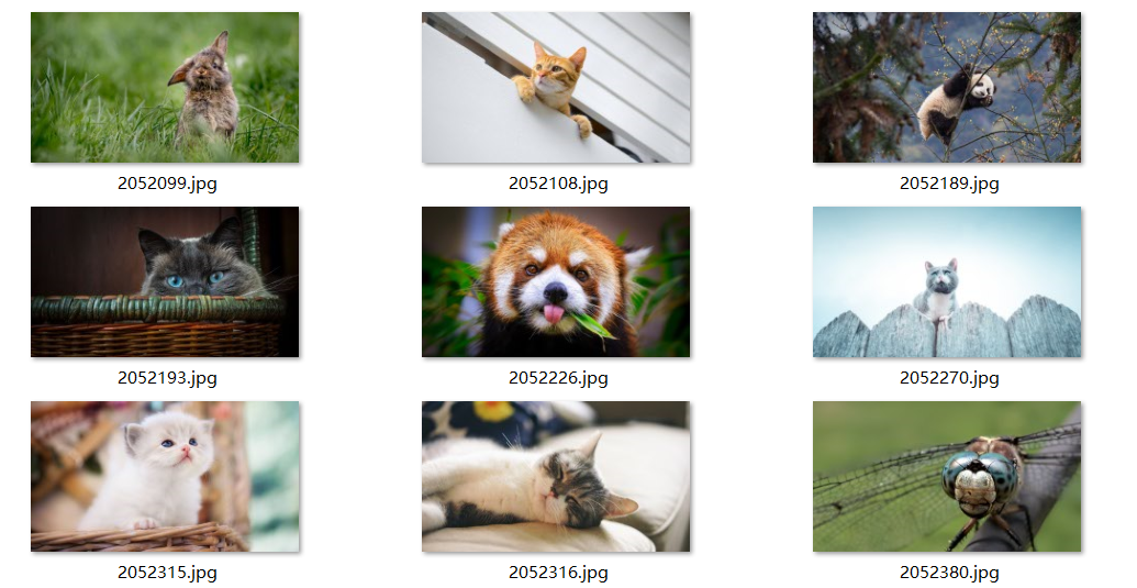 每日壁纸 11.10 NO.4[30P / 641M]-影音屋