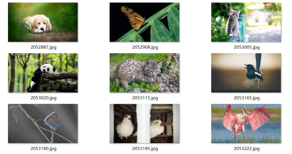 每日壁纸 11.10 NO.5[30P / 649M]-影音屋