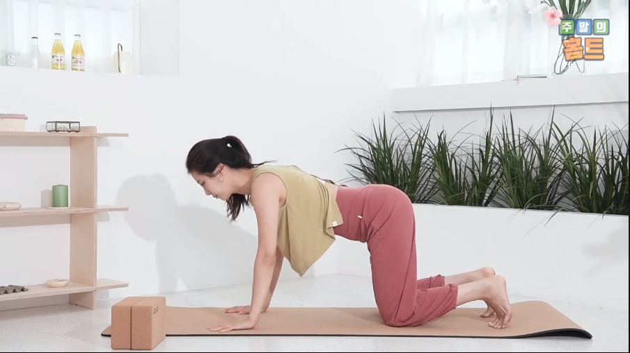 图片[2]-韩国女神智妍性感瑜珈视频教程合集（151V)[MP4][9.6G]-影音屋