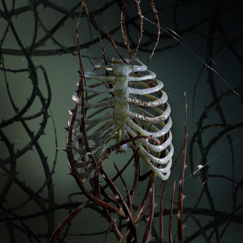 加木《嵌入生长》[320K/MP3][85.68MB]-影音屋