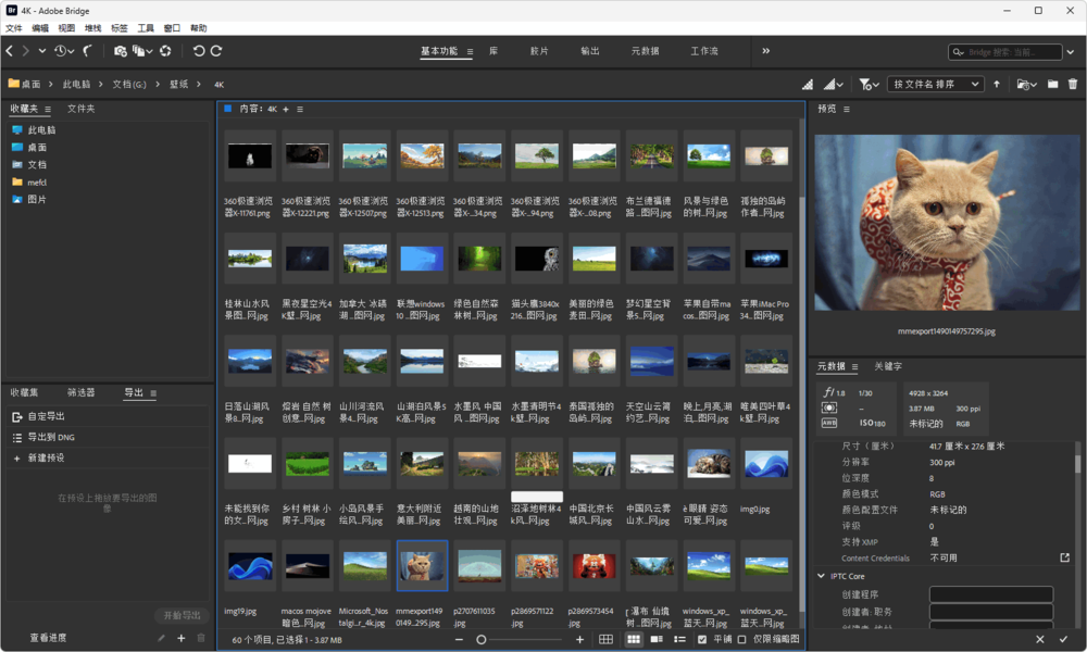 图片[2]-Adobe Bridge 2025-v15.0.4-x64-破解版[iso镜像安装版]-影音屋